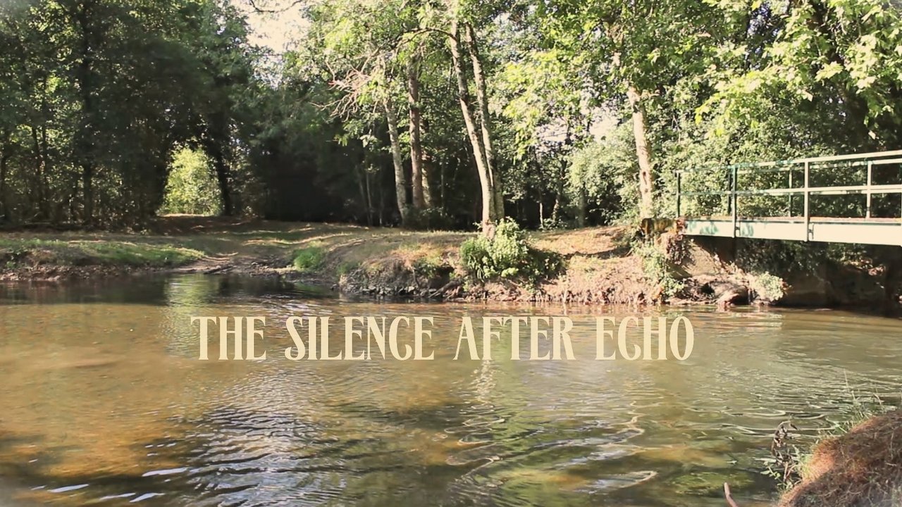 The silence after echo Movie Screenshot 1