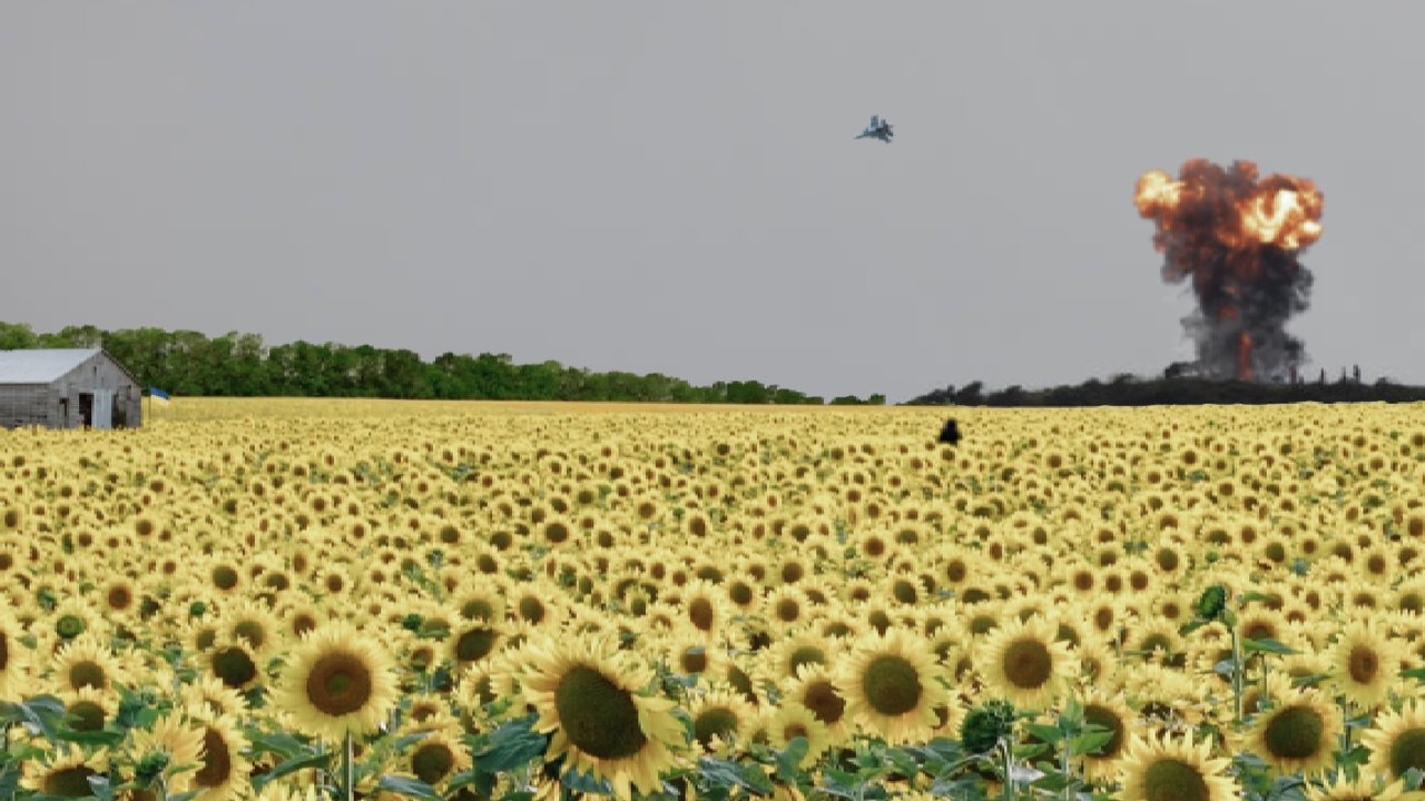 As the Sunflower Whispers Movie Screenshot 1