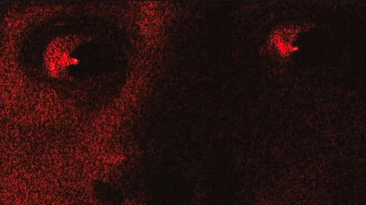 Samuel Comes To Town Movie Screenshot 3