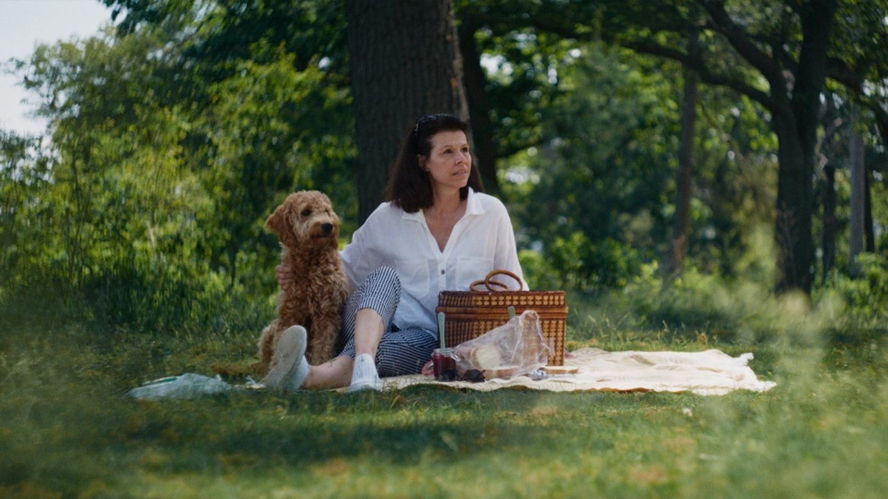 Trying Memory Movie Screenshot 3