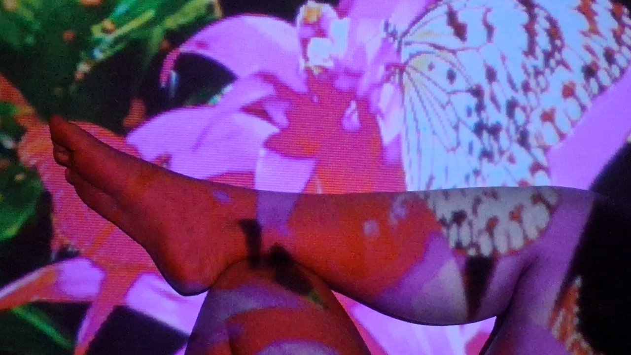 Beijo de Borboleta Movie Screenshot 1