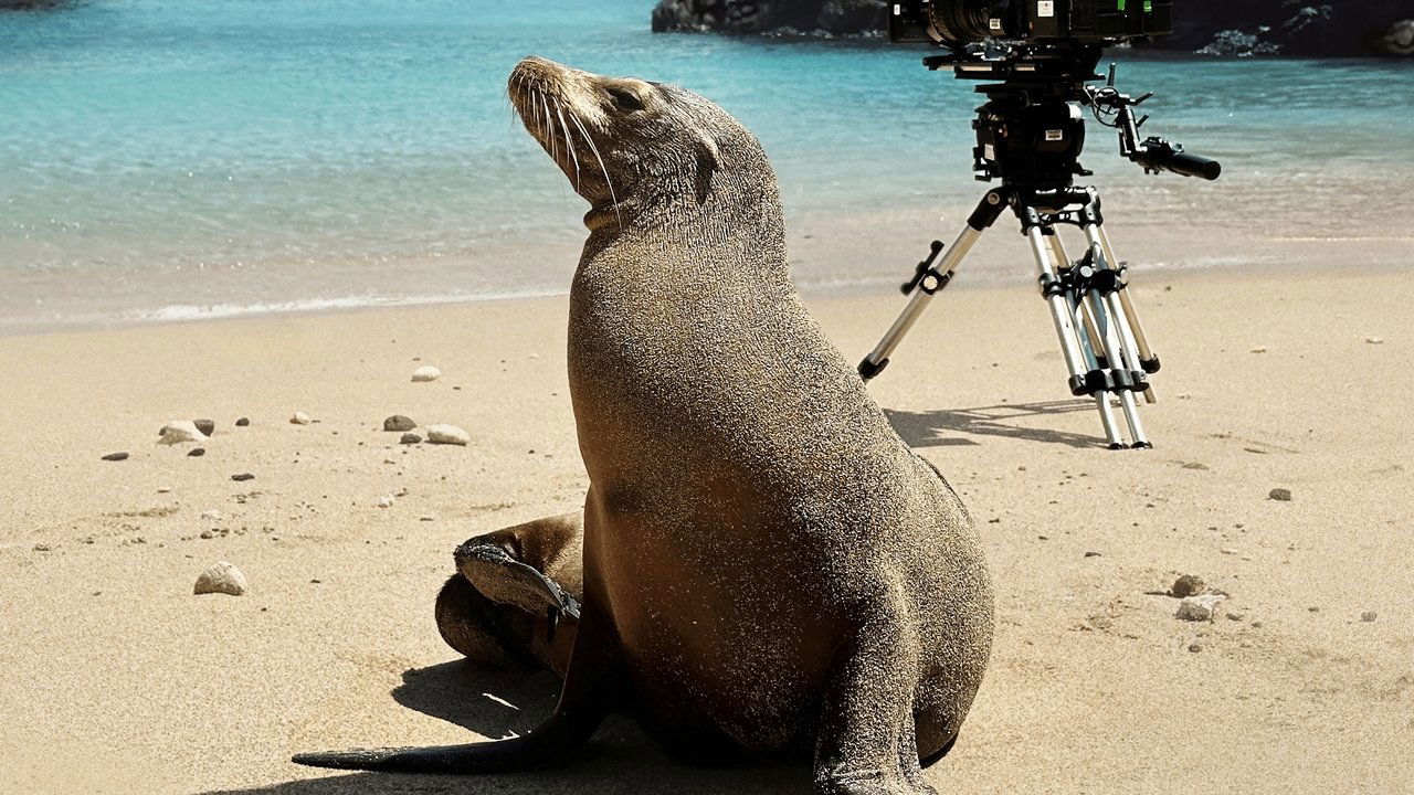 Guardians of the Galapagos Movie Screenshot 1