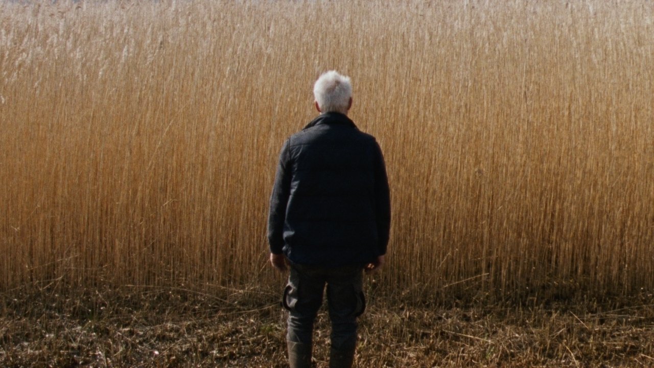 Reedland Movie Screenshot 4