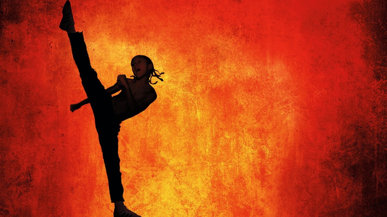 The Karate Kid Movie Screenshot 3