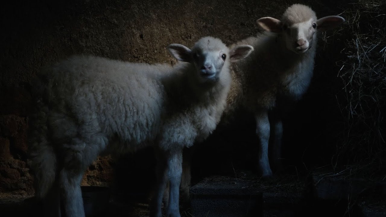 Agnus Dei Movie Screenshot 1
