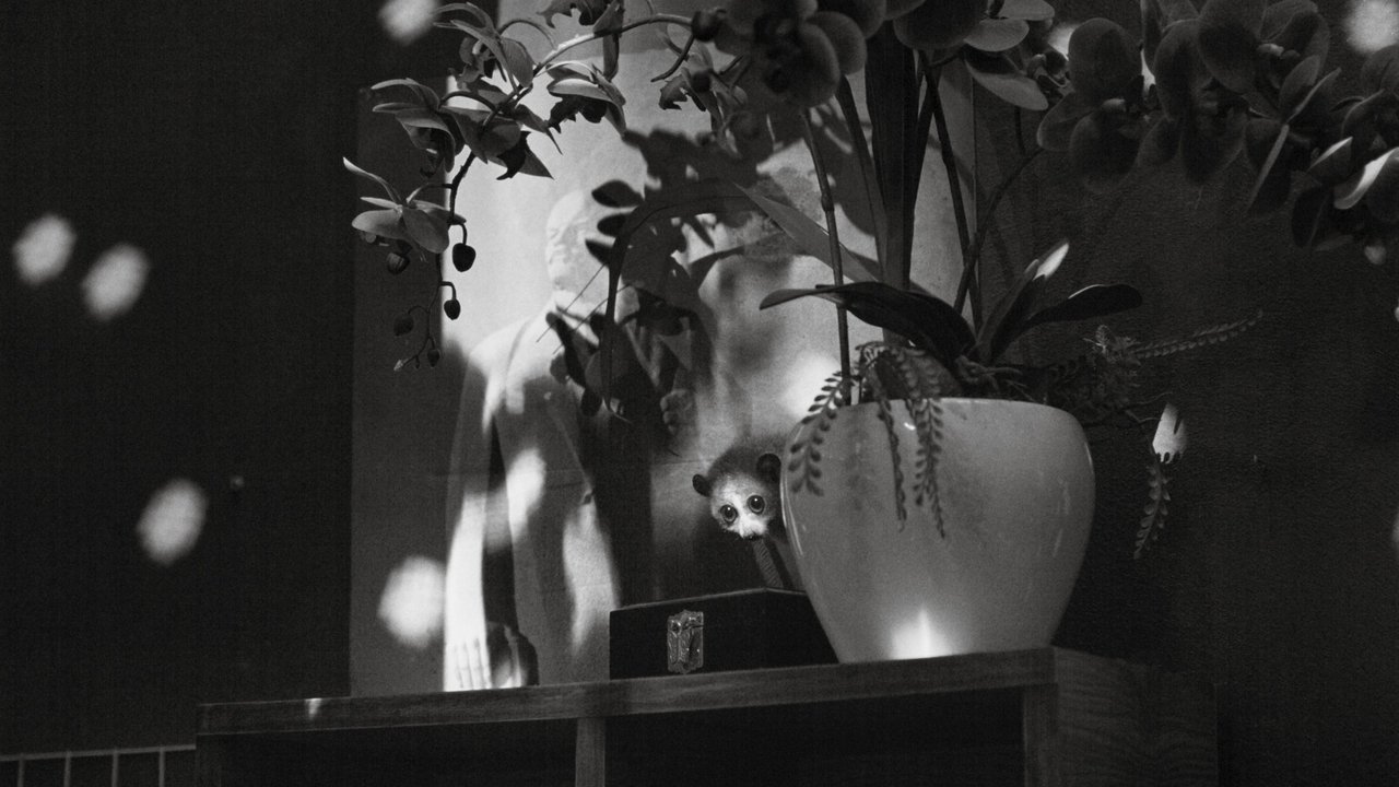 Cu Li Never Cries Movie Screenshot 2