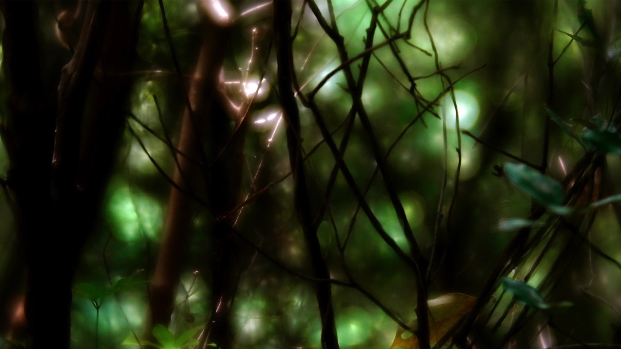 Breathing and Whispering Movie Screenshot 1
