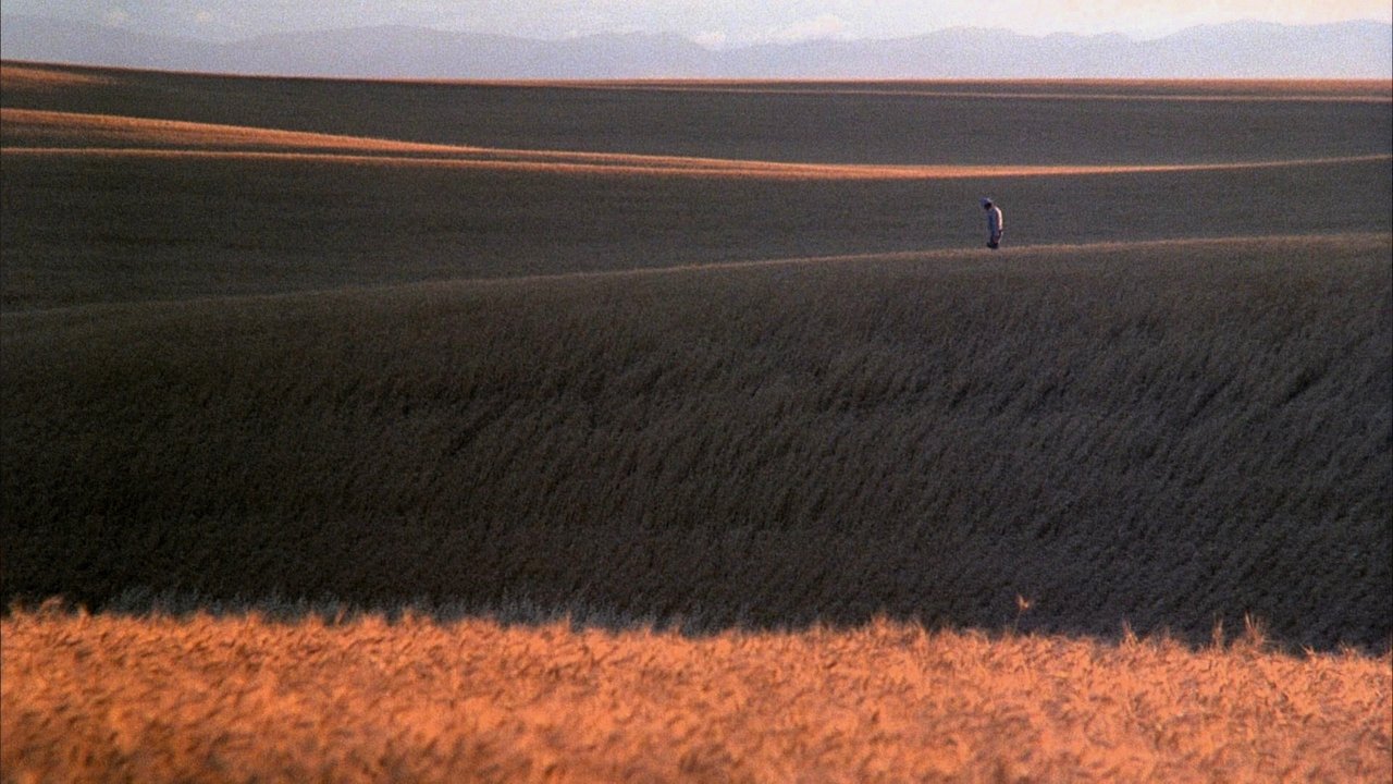 Days of Heaven Movie Screenshot 2