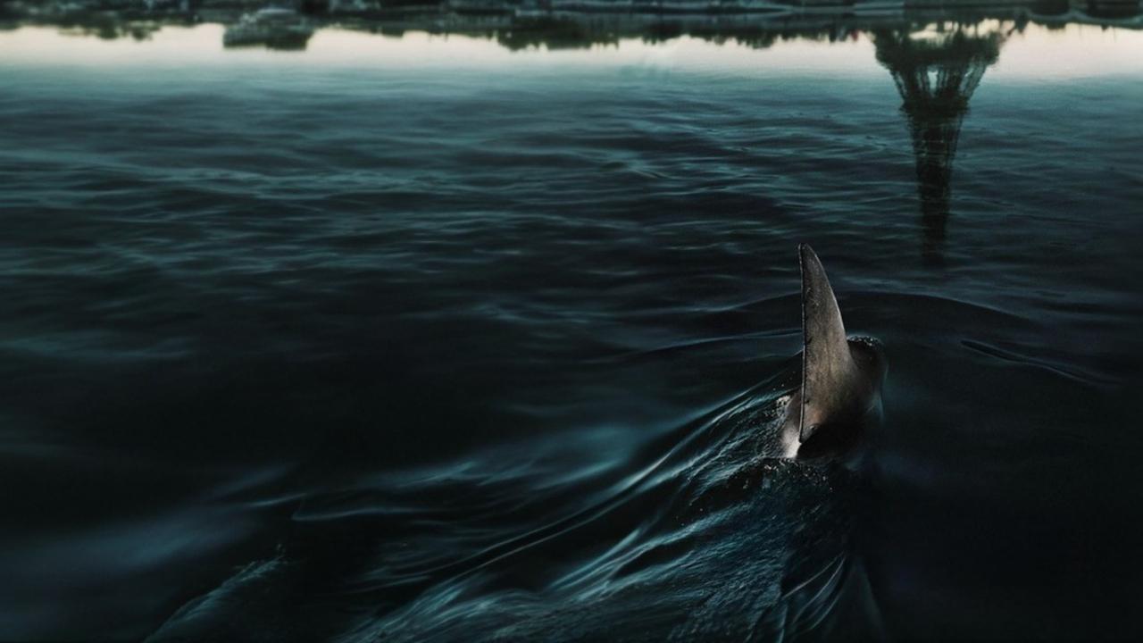 Under Paris Movie Screenshot 1