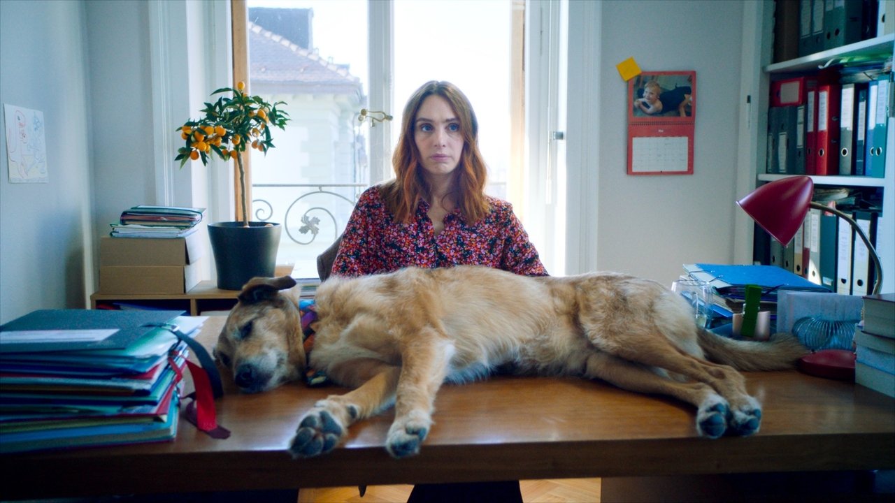 Dog on Trial Movie Screenshot 2