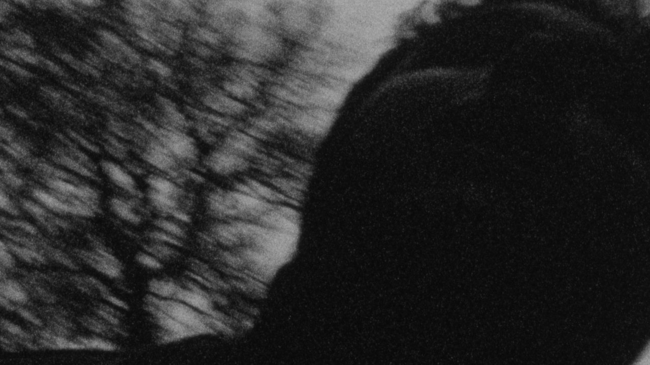 YAZZA Movie Screenshot 3