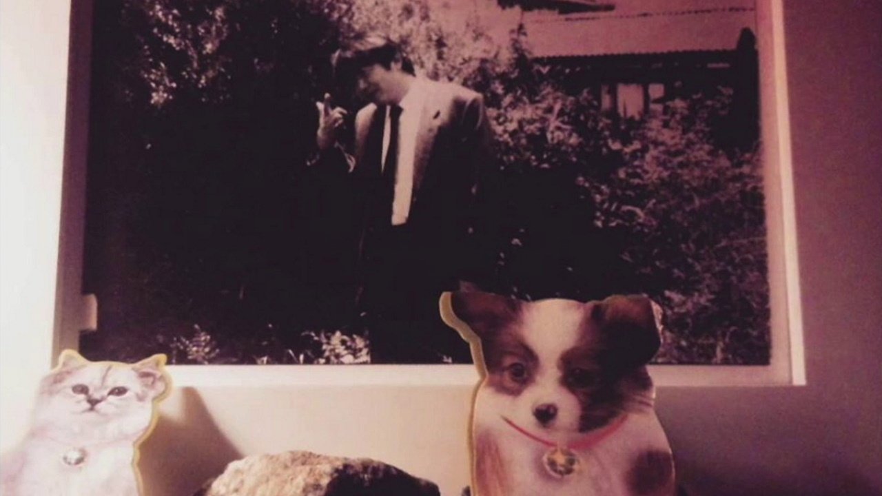 Archive Movie Screenshot 1