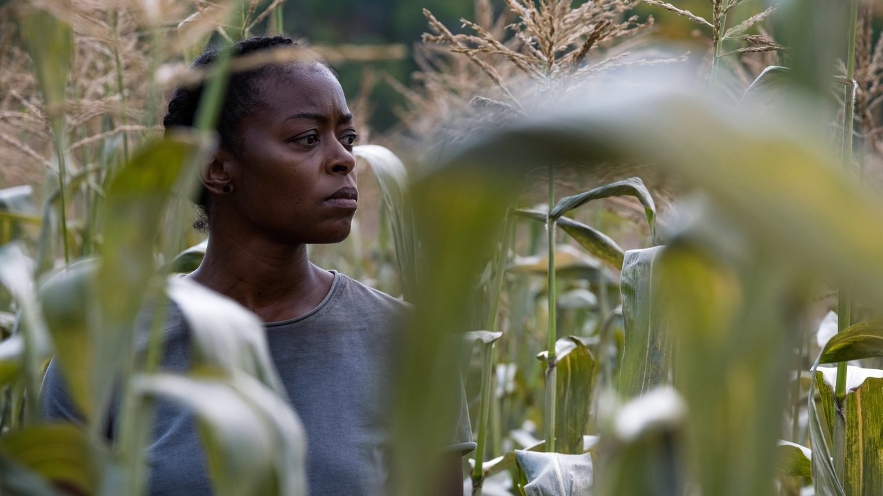 40 Acres Movie Screenshot 1