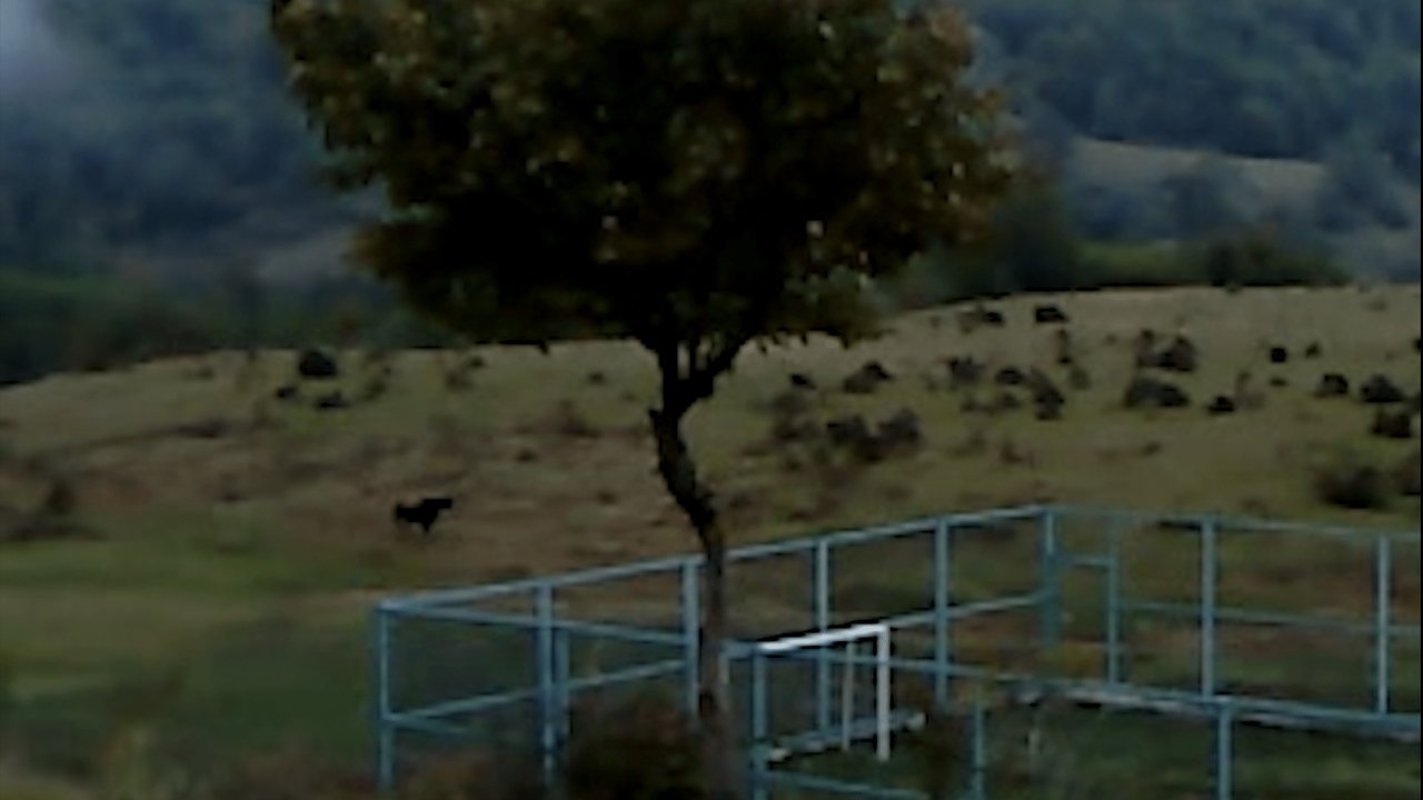 Dry Leaf Movie Screenshot 1