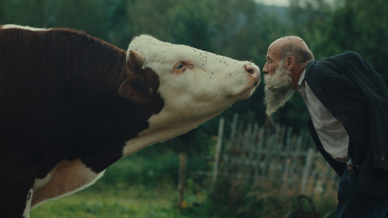Better Go Mad in the Wild Movie Screenshot 2
