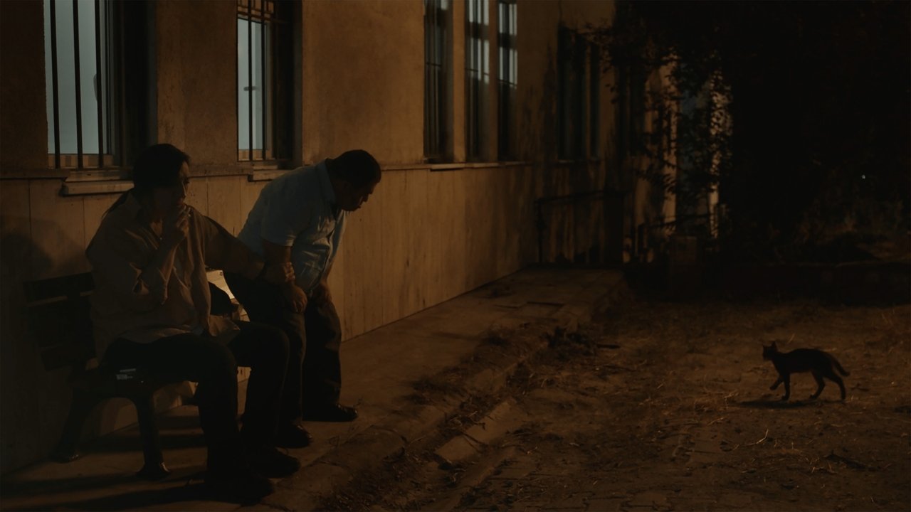 Ayşe Movie Screenshot 2
