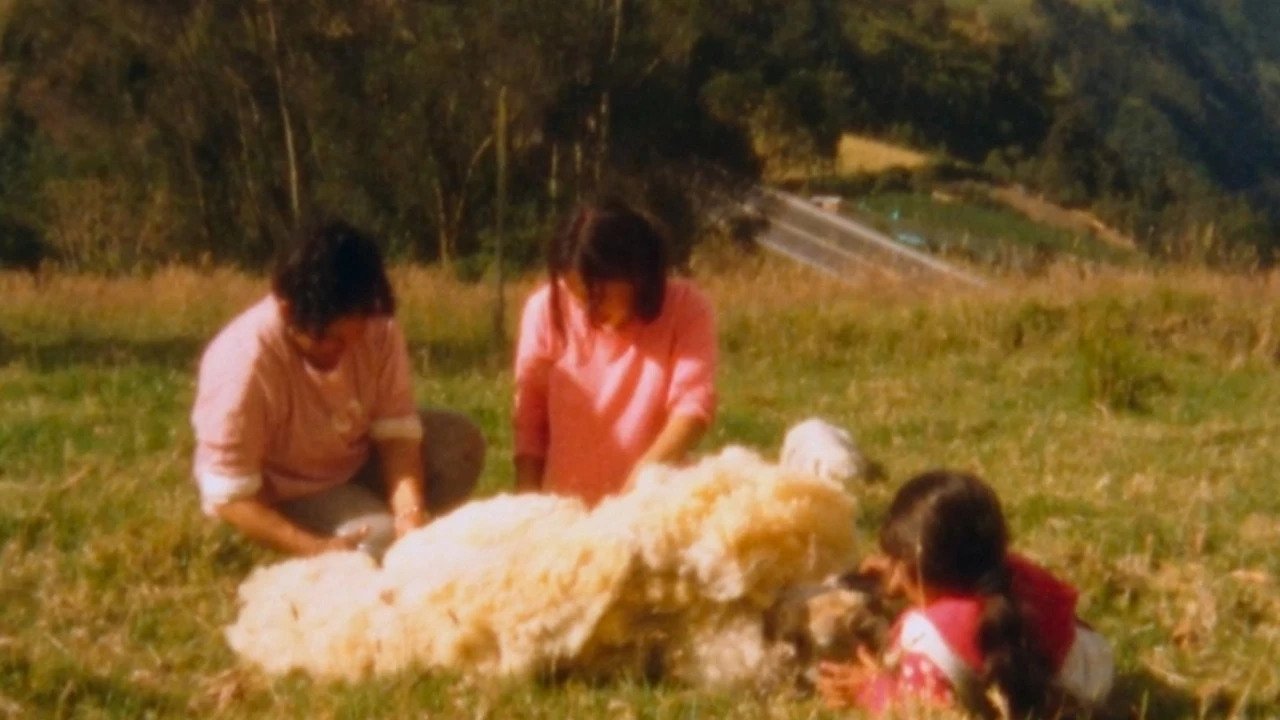 When They Left, All that Remained was a Small Noise in the Mountain Movie Screenshot 1