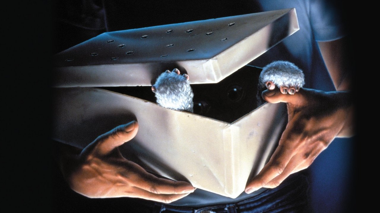 Gremlins Movie Screenshot 1