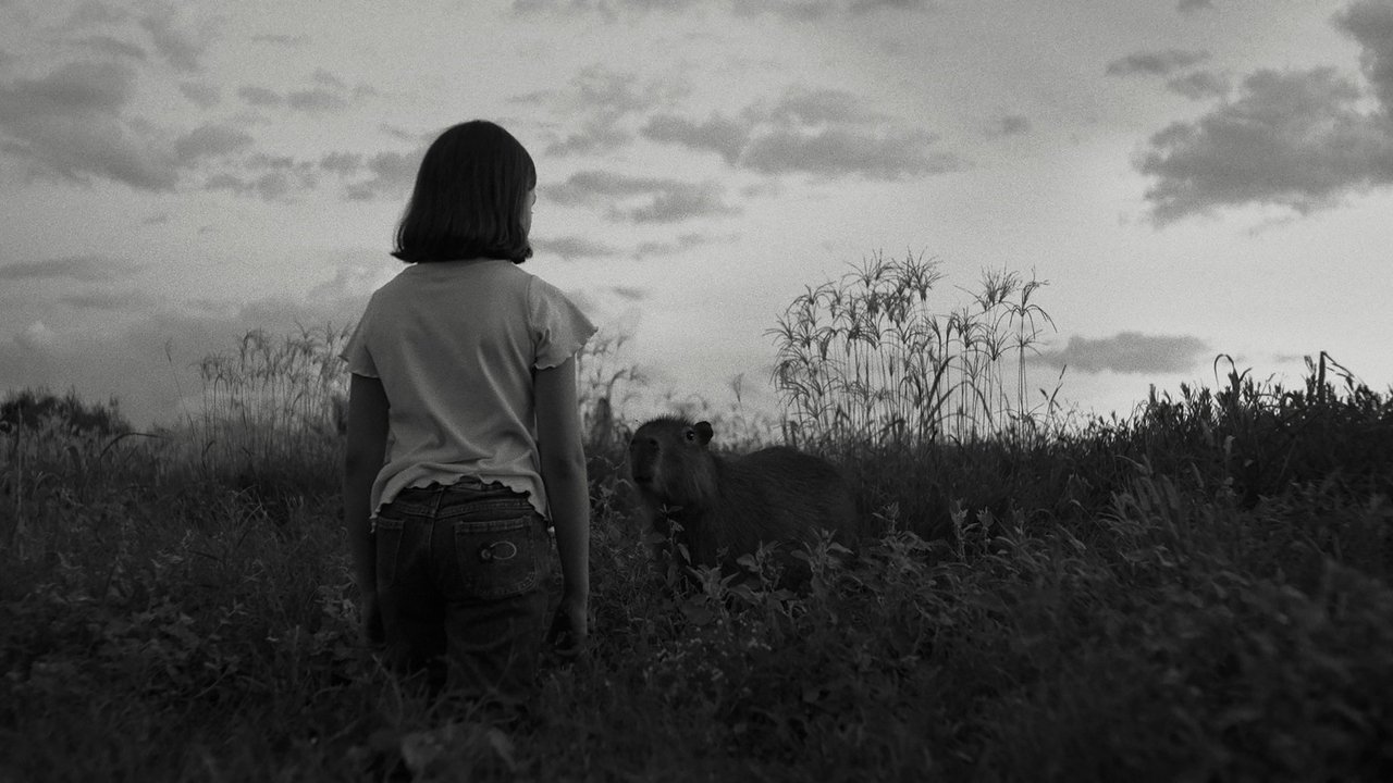 The Message Movie Screenshot 1