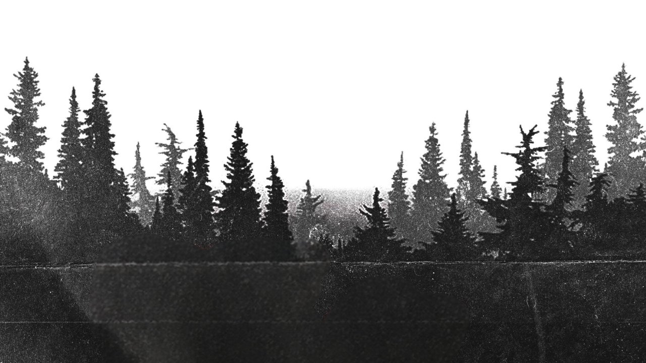 Night Shoot Movie Screenshot 1