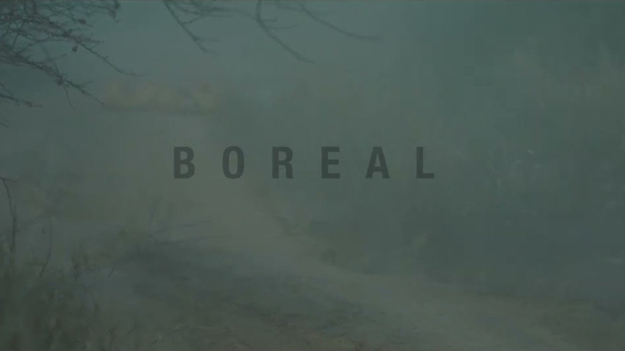 Boreal Movie Screenshot 2