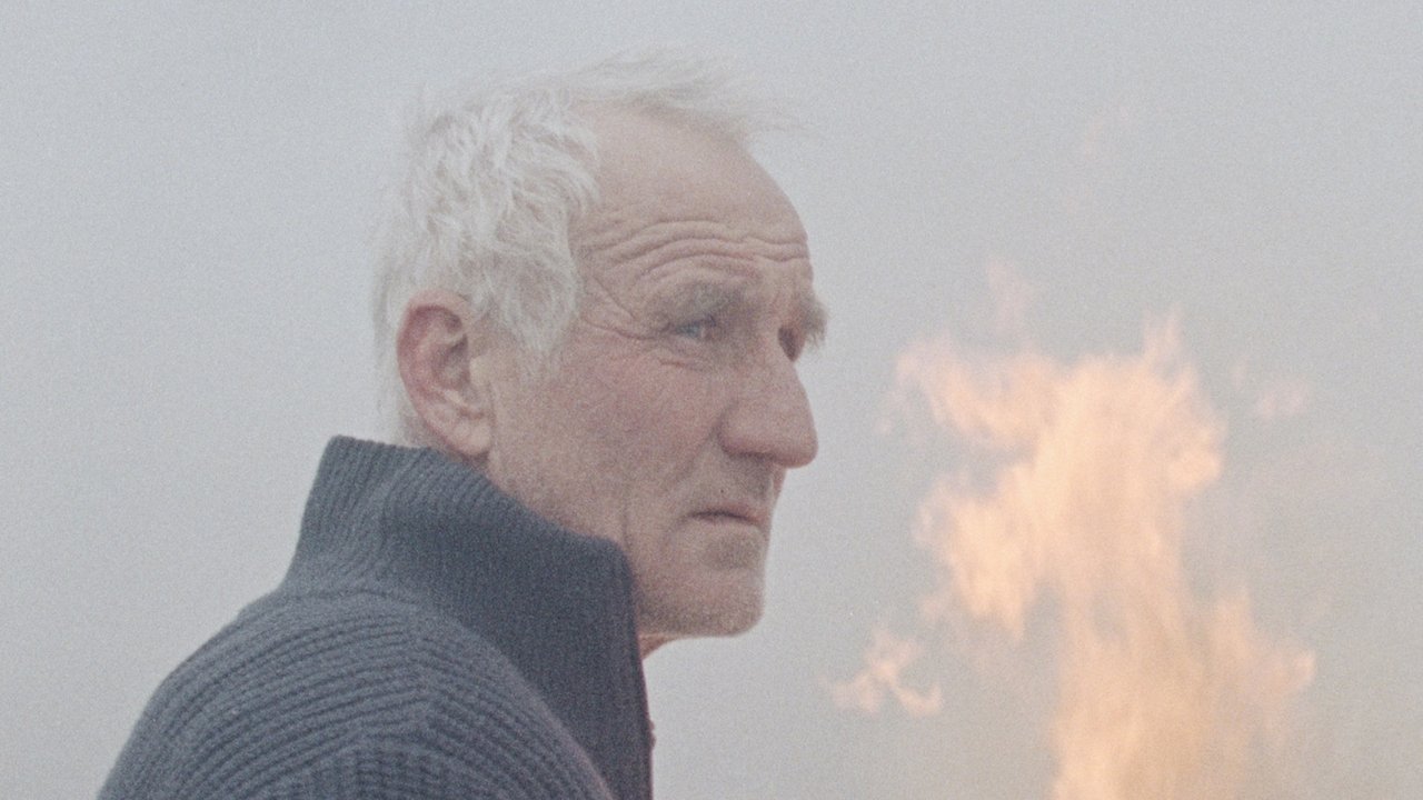 Reedland Movie Screenshot 1