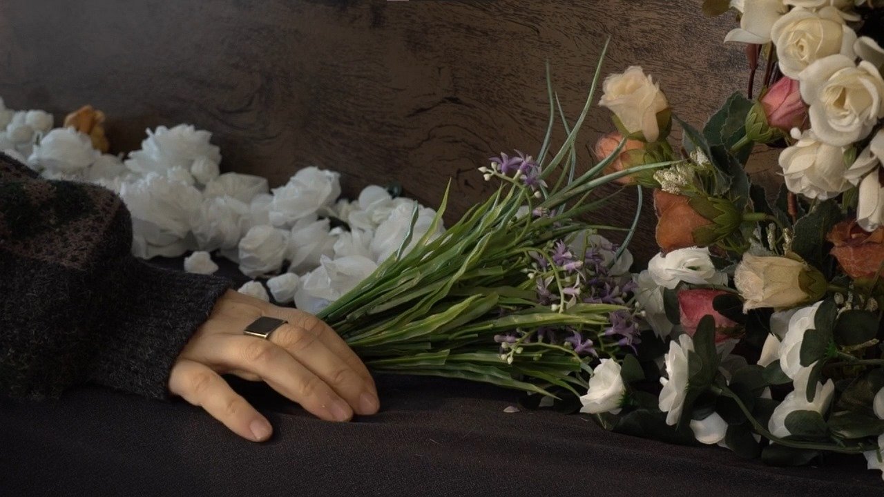 Meus Sentimentos Movie Screenshot 1