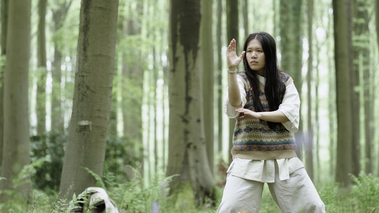 The Nomadic Falcon Movie Screenshot 1