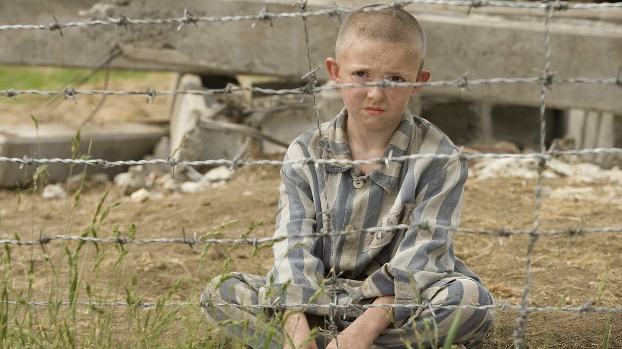 The Boy in the Striped Pyjamas Movie Screenshot 3